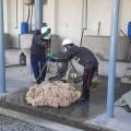 The Power of Teamwork Behind Every Sahil Rugs Masterpiece